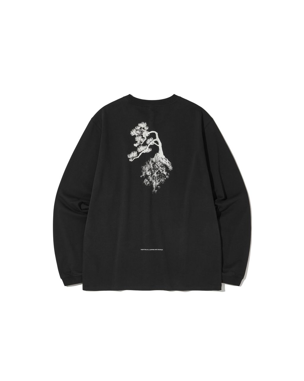 250829_welterexperiment_0019