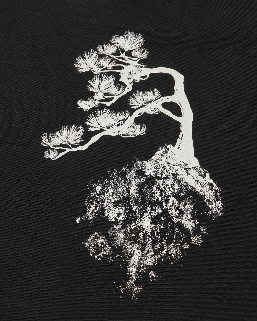 250829_welterexperiment_2231