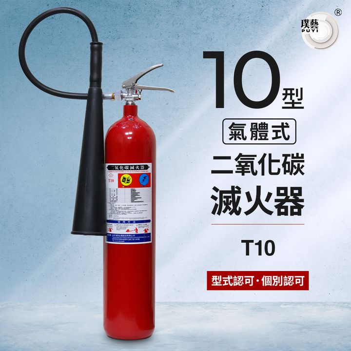 T10