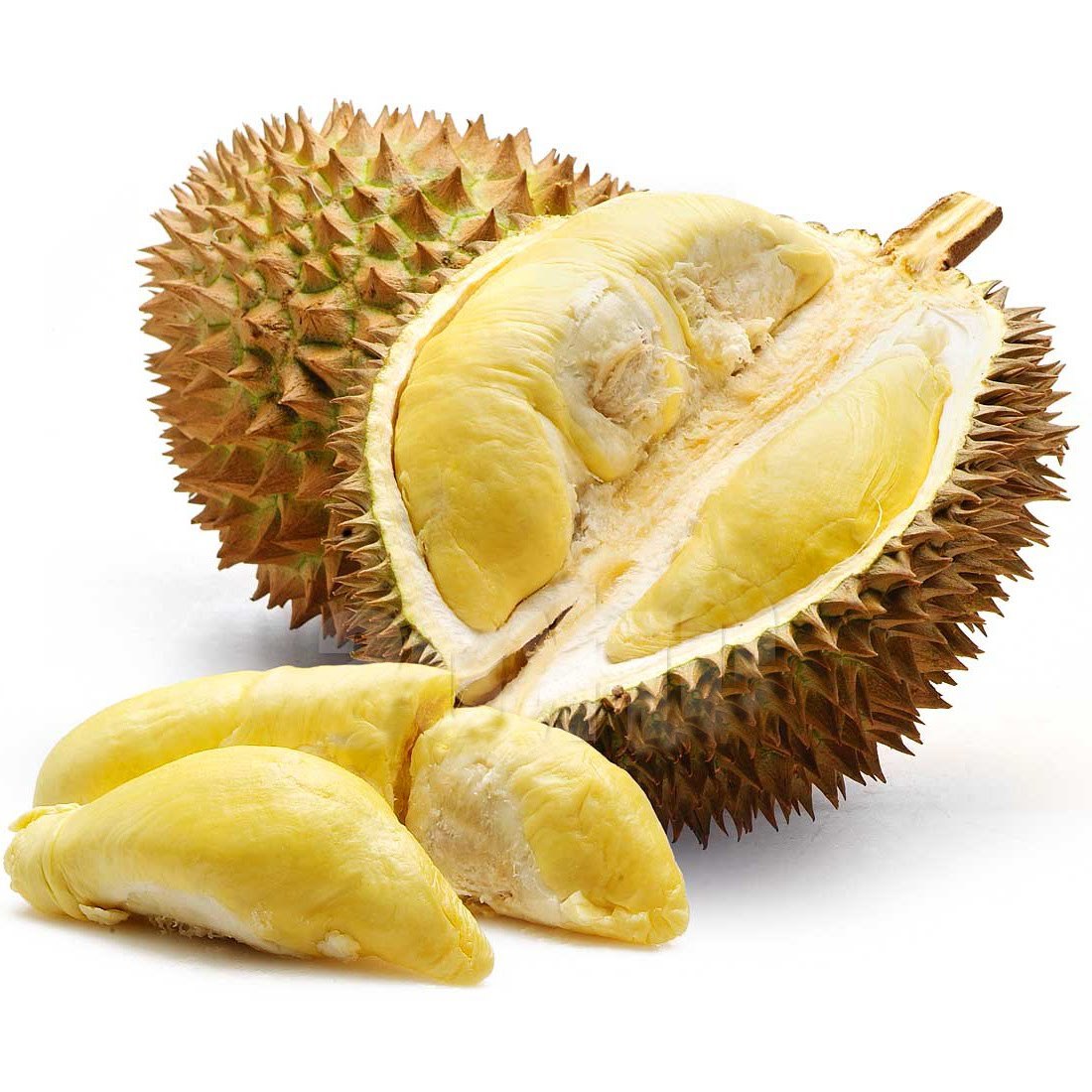 Durian.jpg