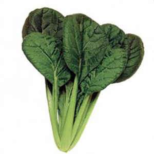 Leafy_Misome_Choho_Hybrid__15439.1513796070.1280.1280.jpg