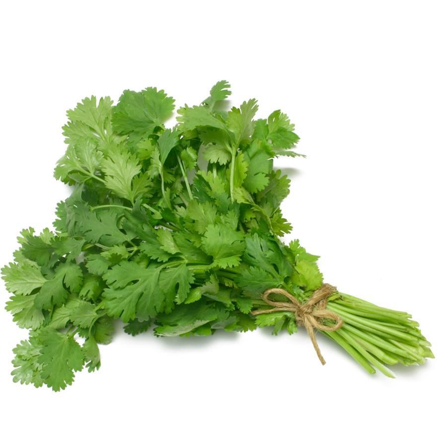Cilantro_edited_1_1024x1024.jpg