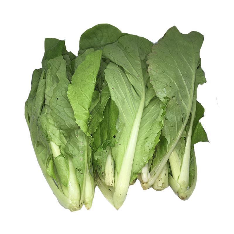 MZ Choy Sum.png