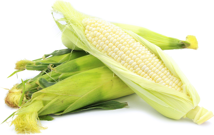 White_Maize_1024x1024.png