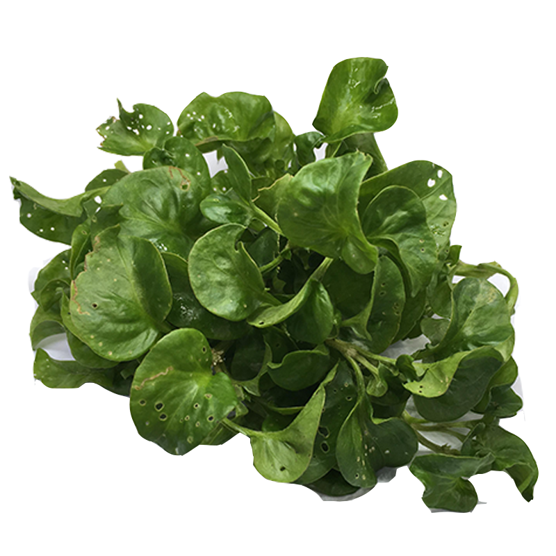 Brazil Spinach.png