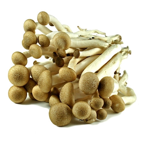 MFC611.jpg