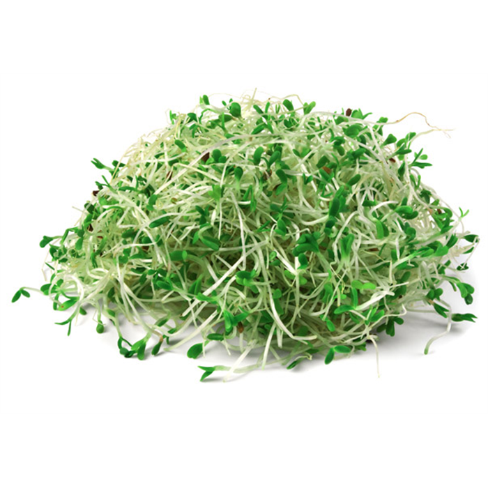 rainy-day-sprout-seed-broccoli-metal-bag.jpg.png