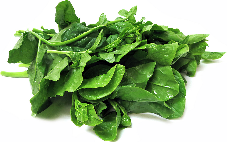malabar-spinach.png