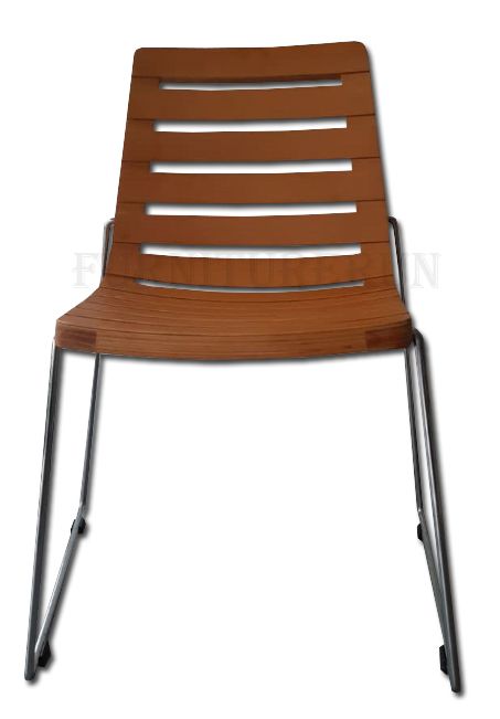 paco.jpg