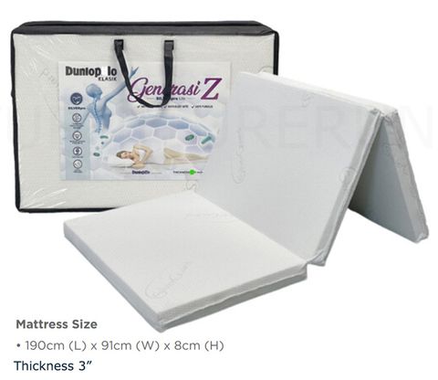 dungenz3in