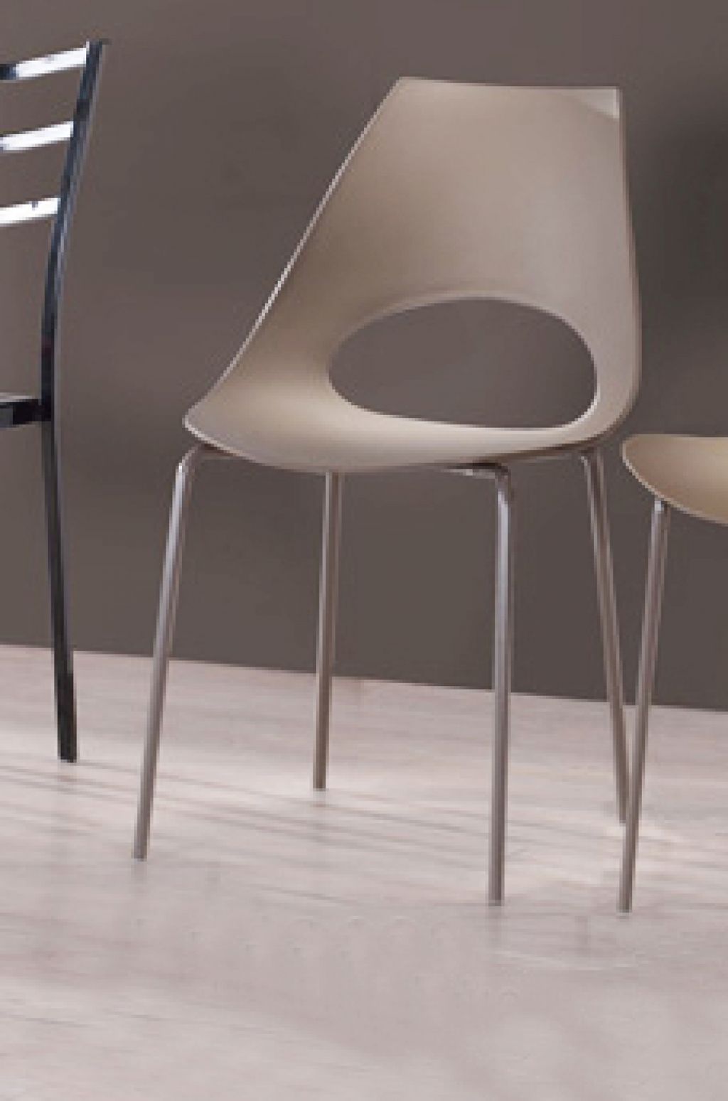 1487423609_2310466_z