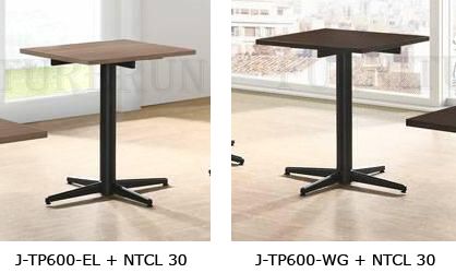 acejtp600ntcl30.jpg