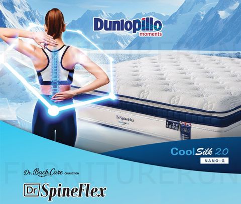 dundrspineflex2