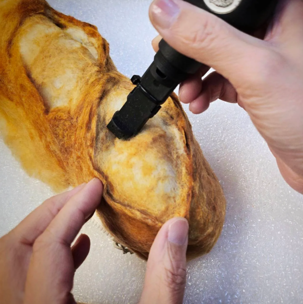 螢幕擷取畫面 2026-04-07 081947