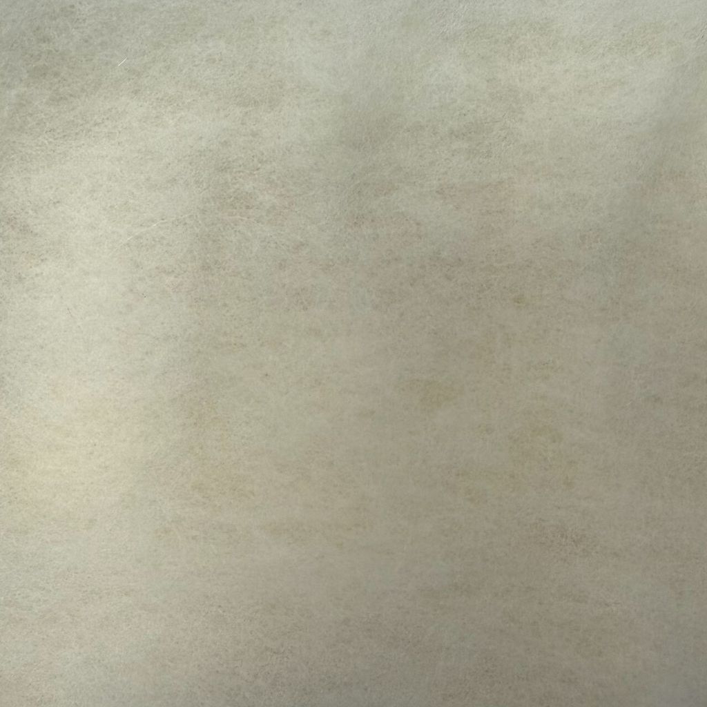 LINE_ALBUM_毛料_260122_1