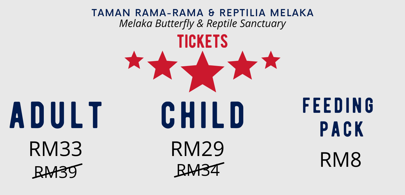 Tickets ButterflyReptile Taman Rama2 Reptilia