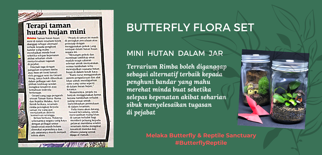 Butterfly Flora Set.png