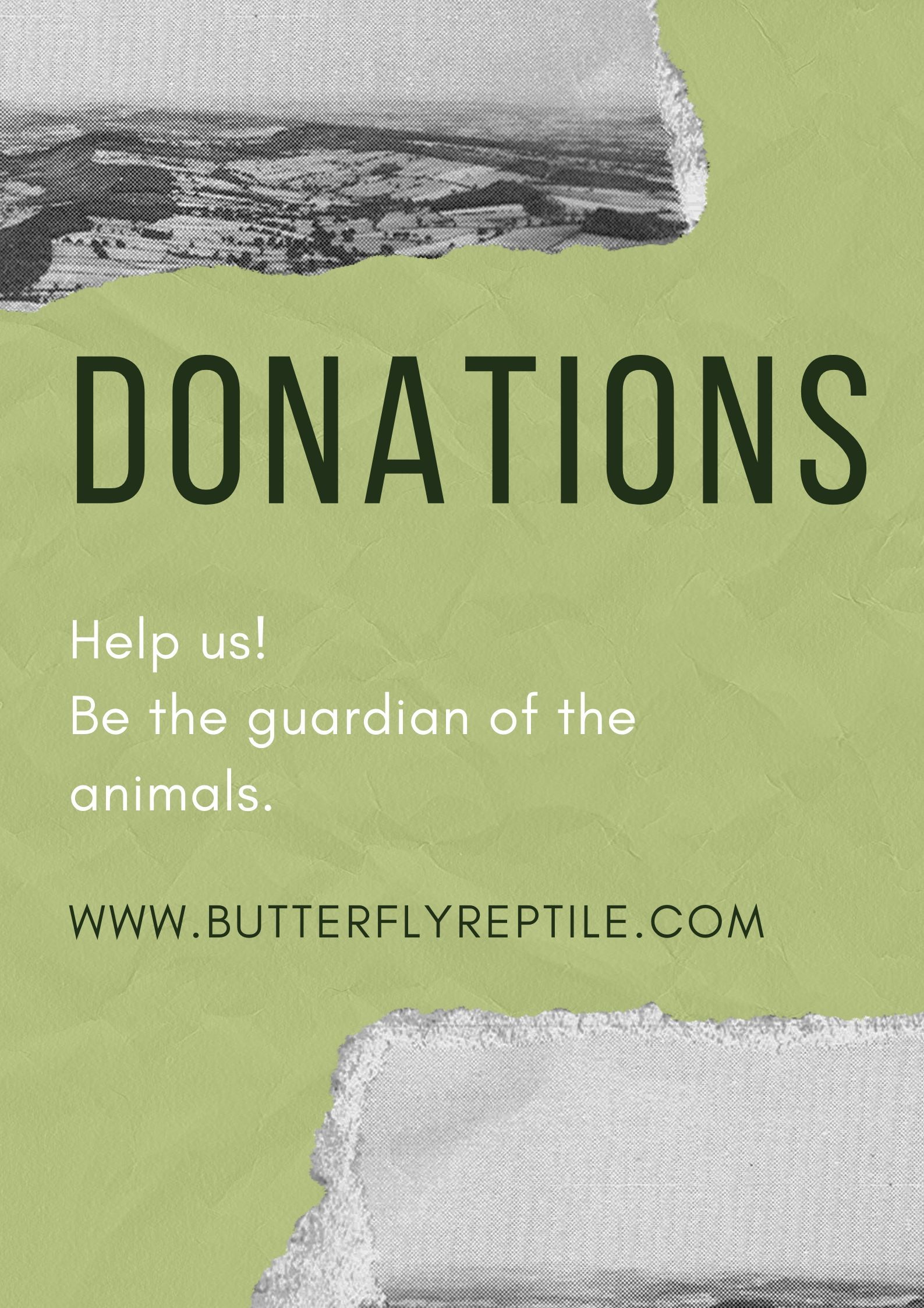 Donations.jpg