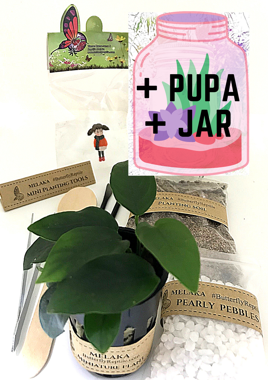 Butterfly Flora Set + Pupa + Jar RM50.png