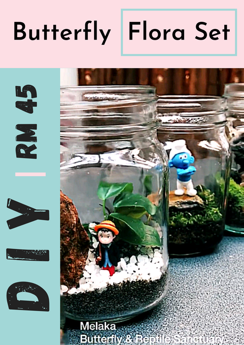 Butterfly Flora Set RM45.png