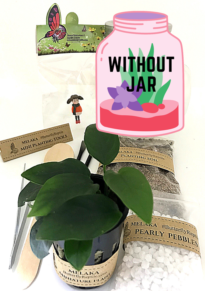 Butterfly Flora Set without Jar RM39.png