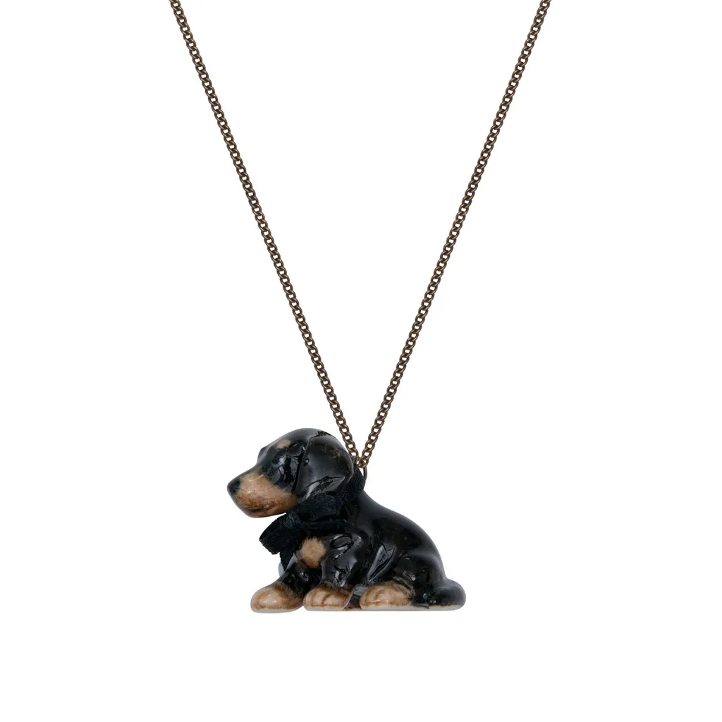 BLK_DACH_PUP_2048x2048.jpg