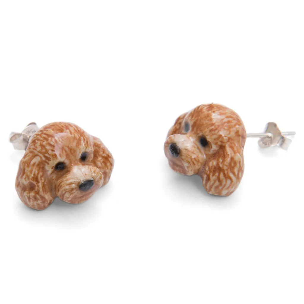apricot_poodle_b10a0095-5783-44d1-a45e-761b4e91c03e_2048x2048 (1).jpg
