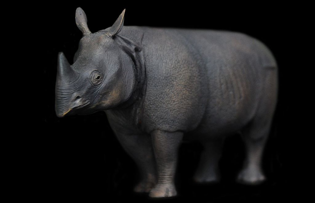 爪哇犀牛-1000-07.jpg