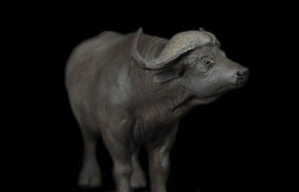 非洲水牛-07-SIZE.jpg