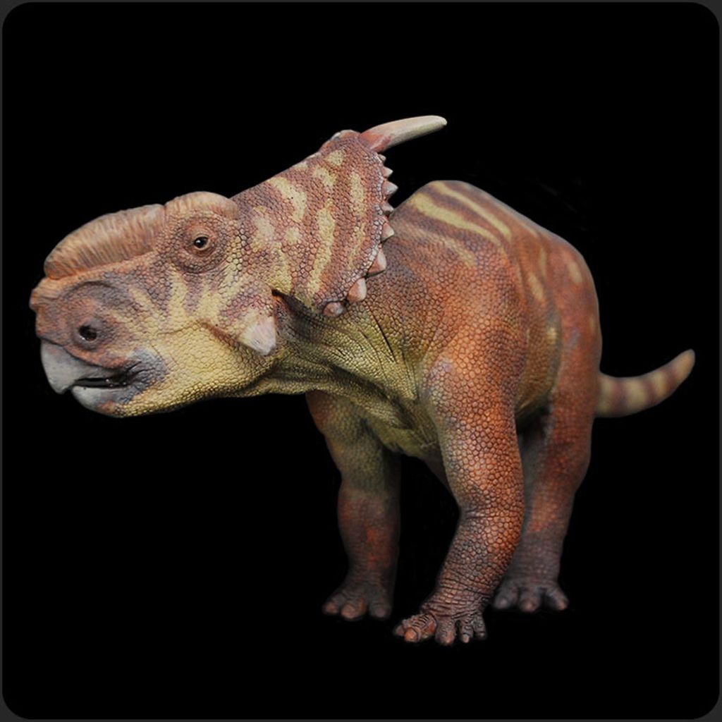 加拿大厚鼻角龍-00.jpg