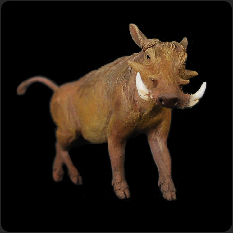 盧楓山-疣豬Warthog – Picowork