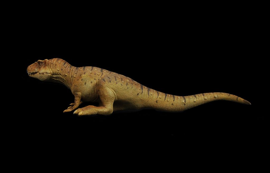 血王龍 -09-白模.jpg