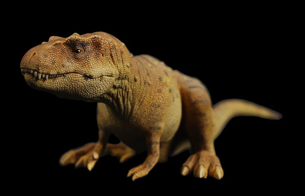 血王龍 -09-白模.jpg