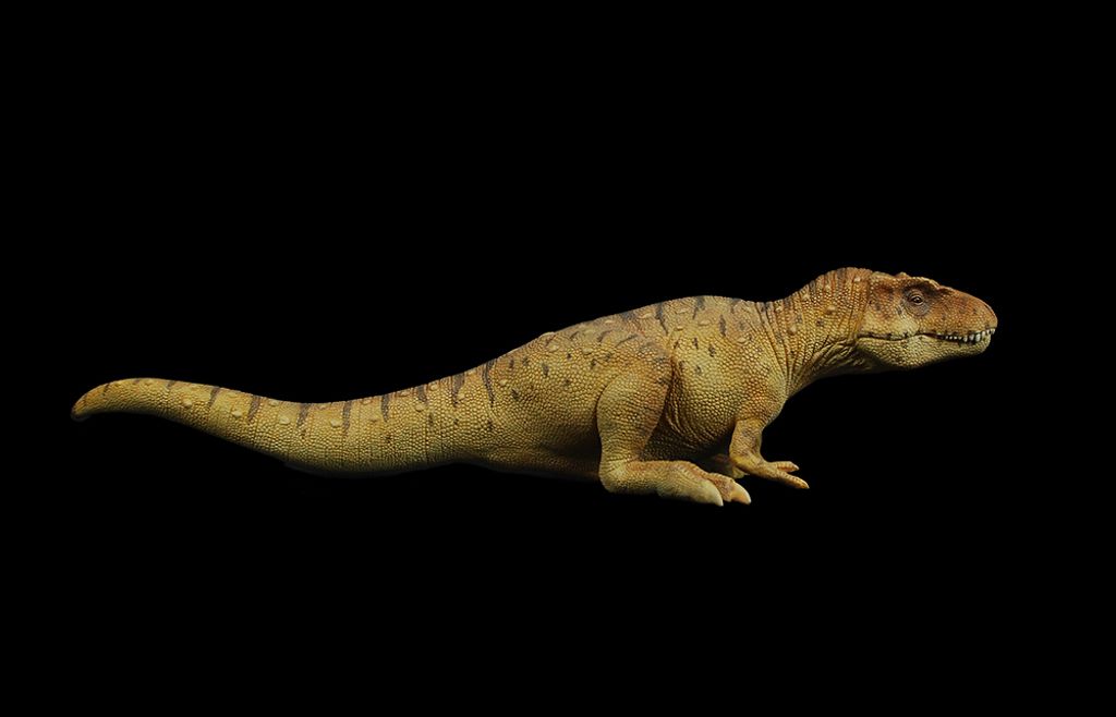 血王龍 -09-白模.jpg