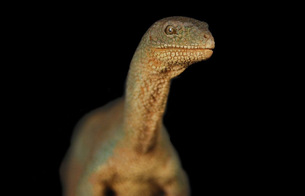 智利龍 -06-size.jpg