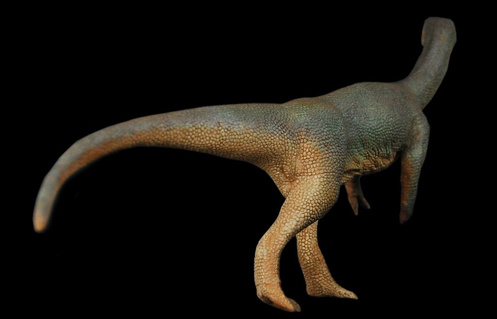 智利龍 -06-size.jpg