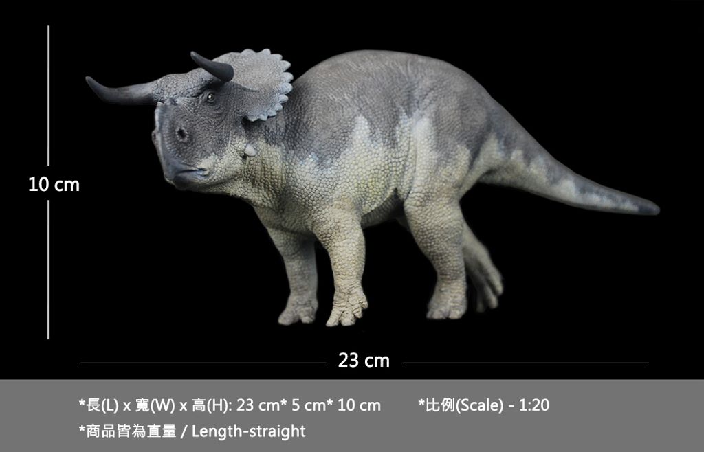 大鼻角龍-6-size.jpg