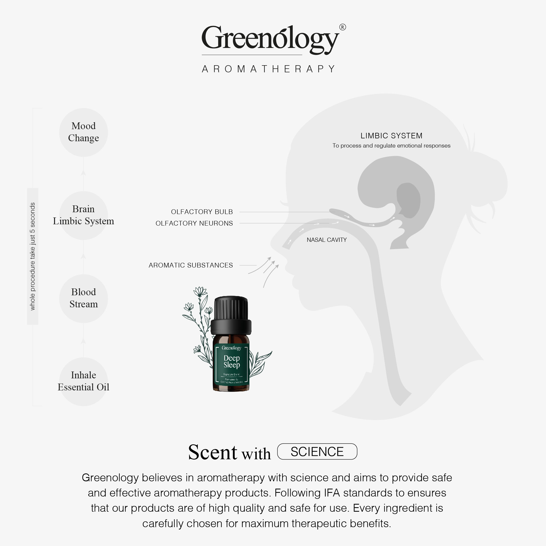 230627 Greenology_In-Car Purify Kit_Product Description-04