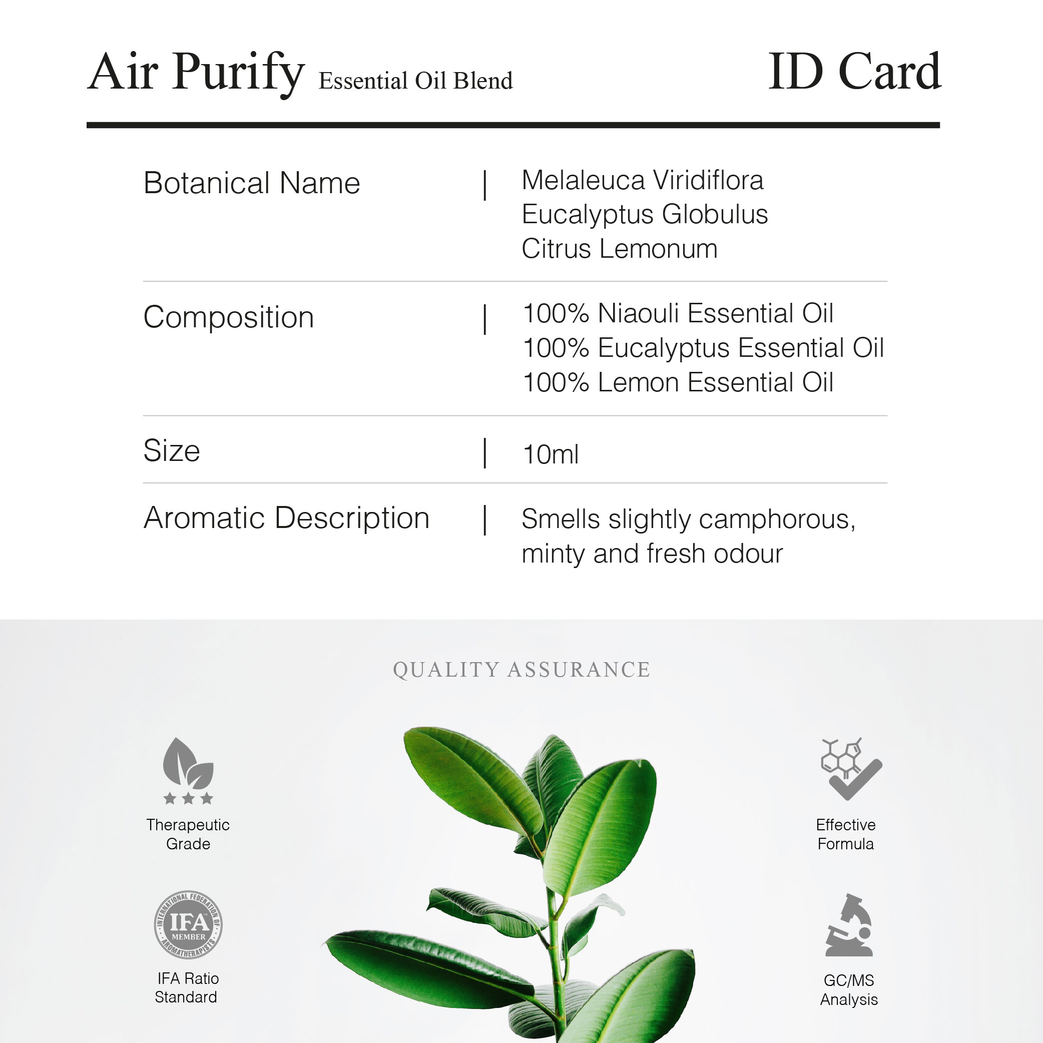 230627 Greenology_In-Car Purify Kit_Product Description-05