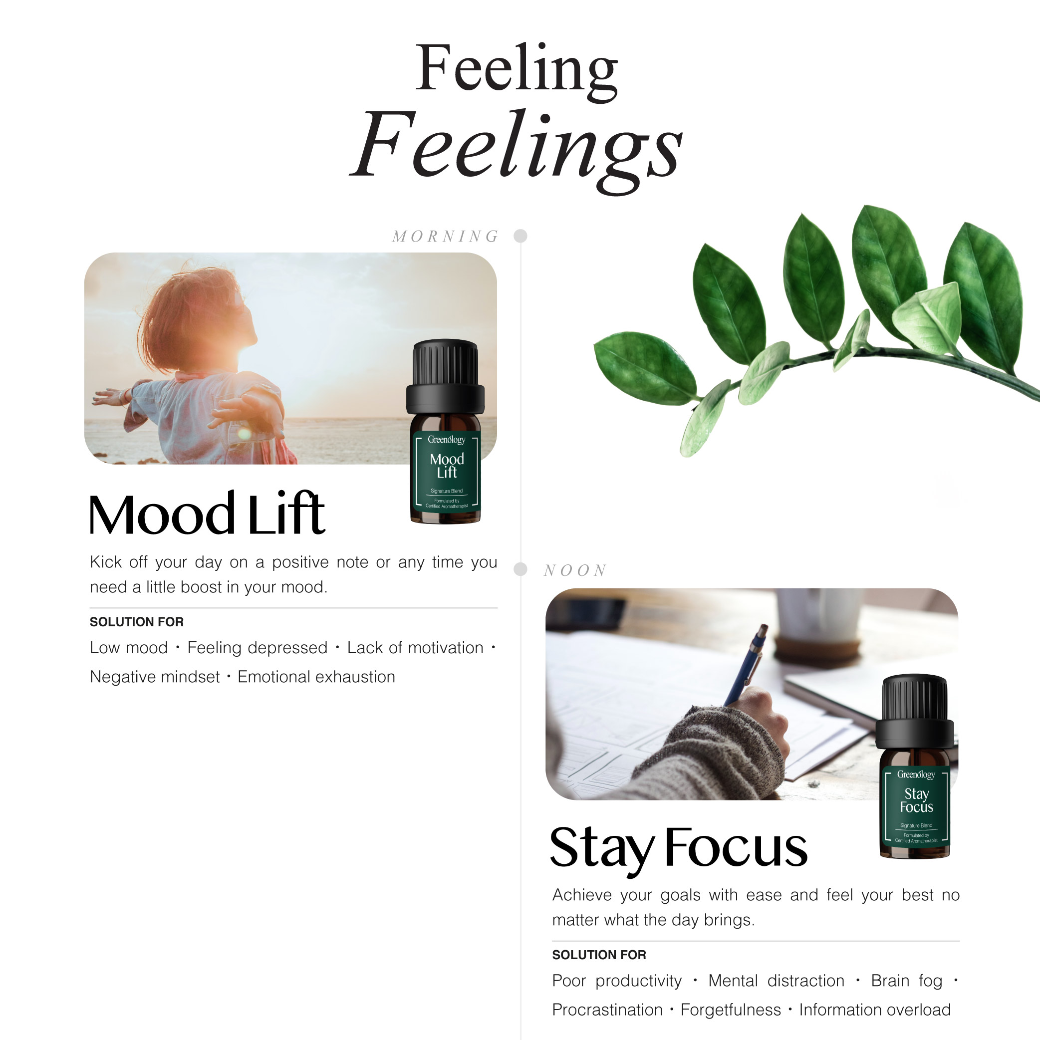 230717 Greenology_feeling Feelings Kit_Product Description-02