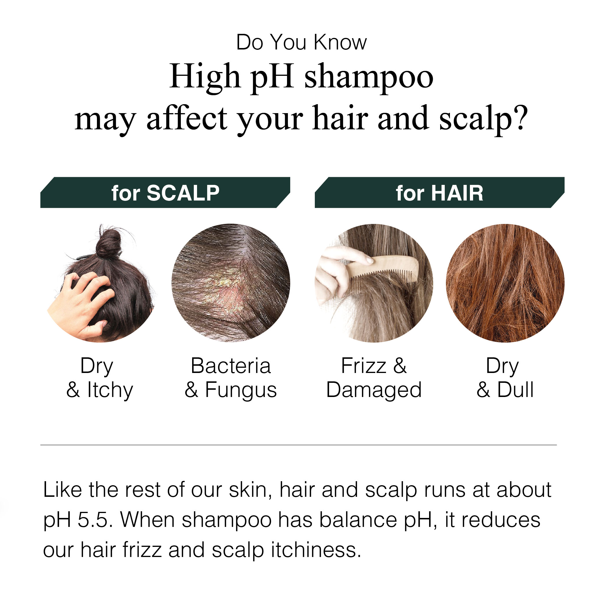 Greenology_Daily Moisture Shampoo_Product Description-02