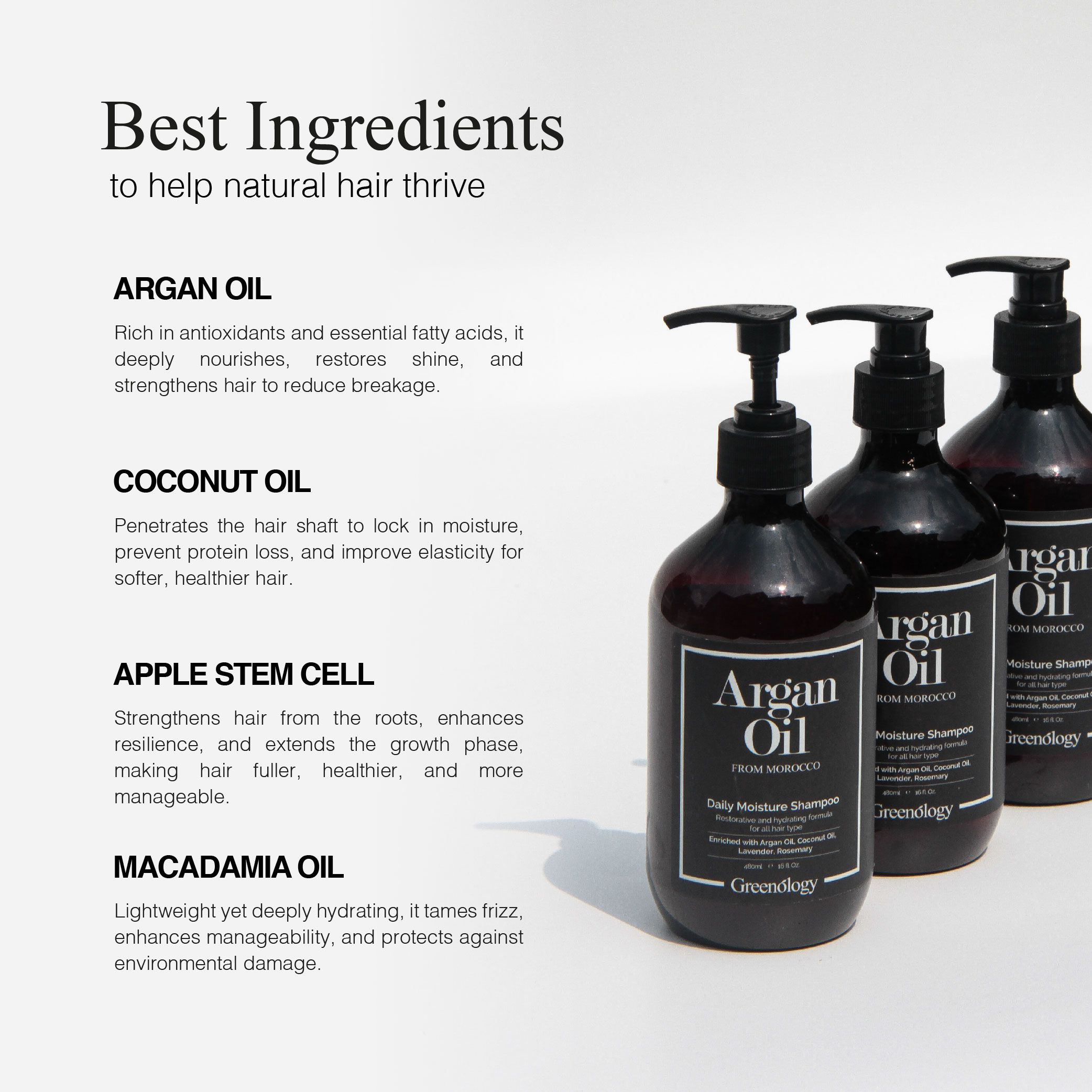 241017 Greenology_Hair Care Routine Kit_Product Description-05