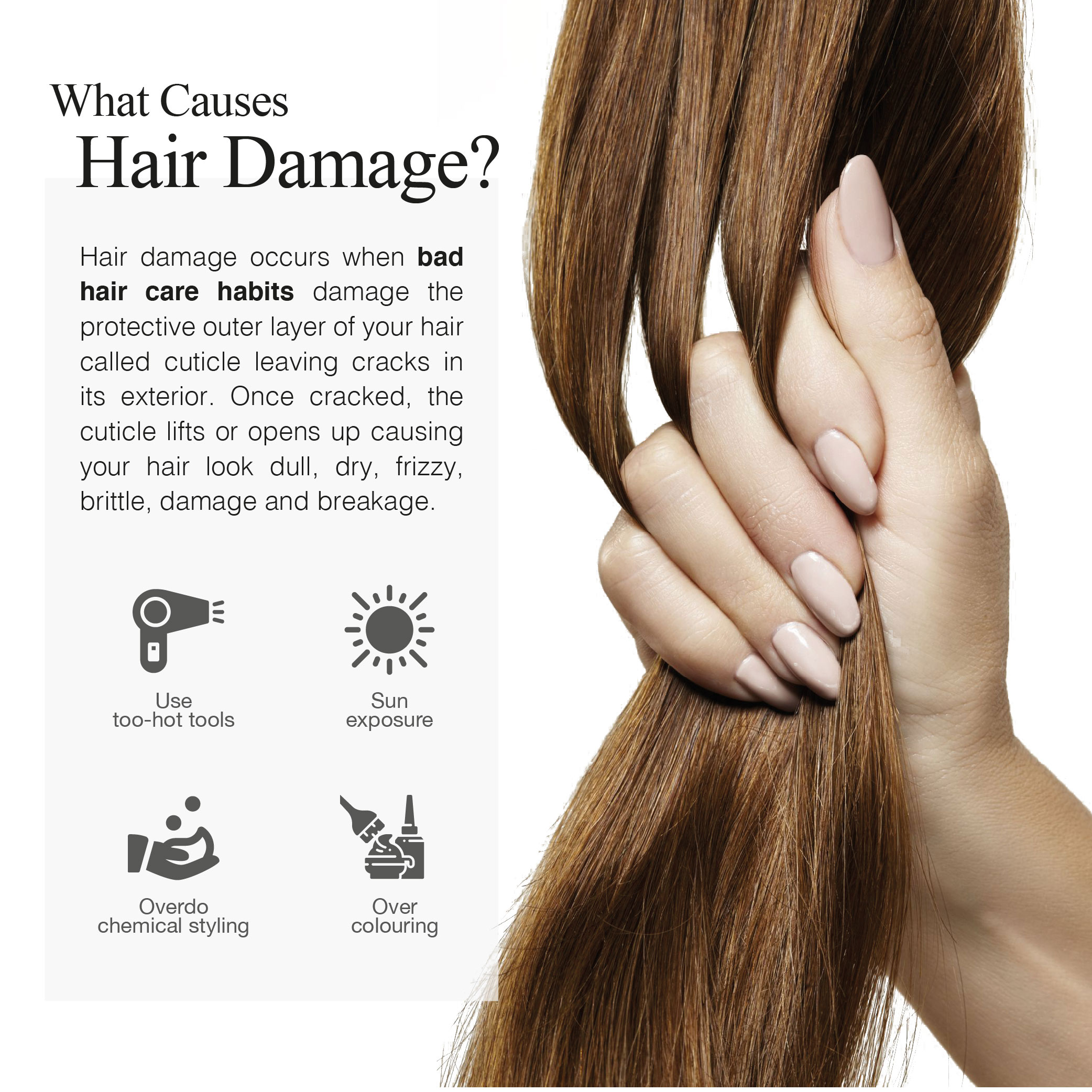 241017 Greenology_Hair Care Routine Kit_Product Description-02