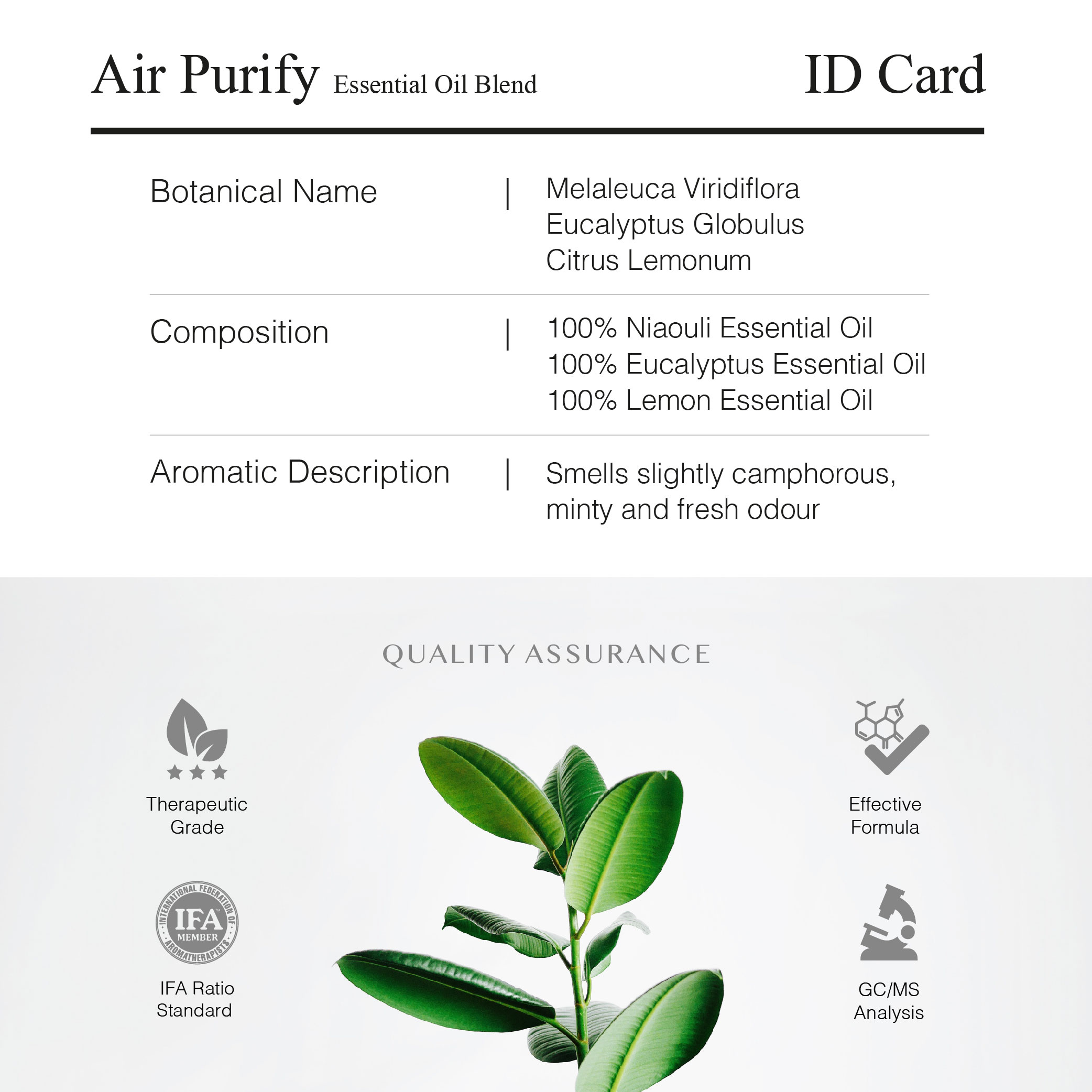 230627 Greenology_In-Car Purify Kit_Product Description-05