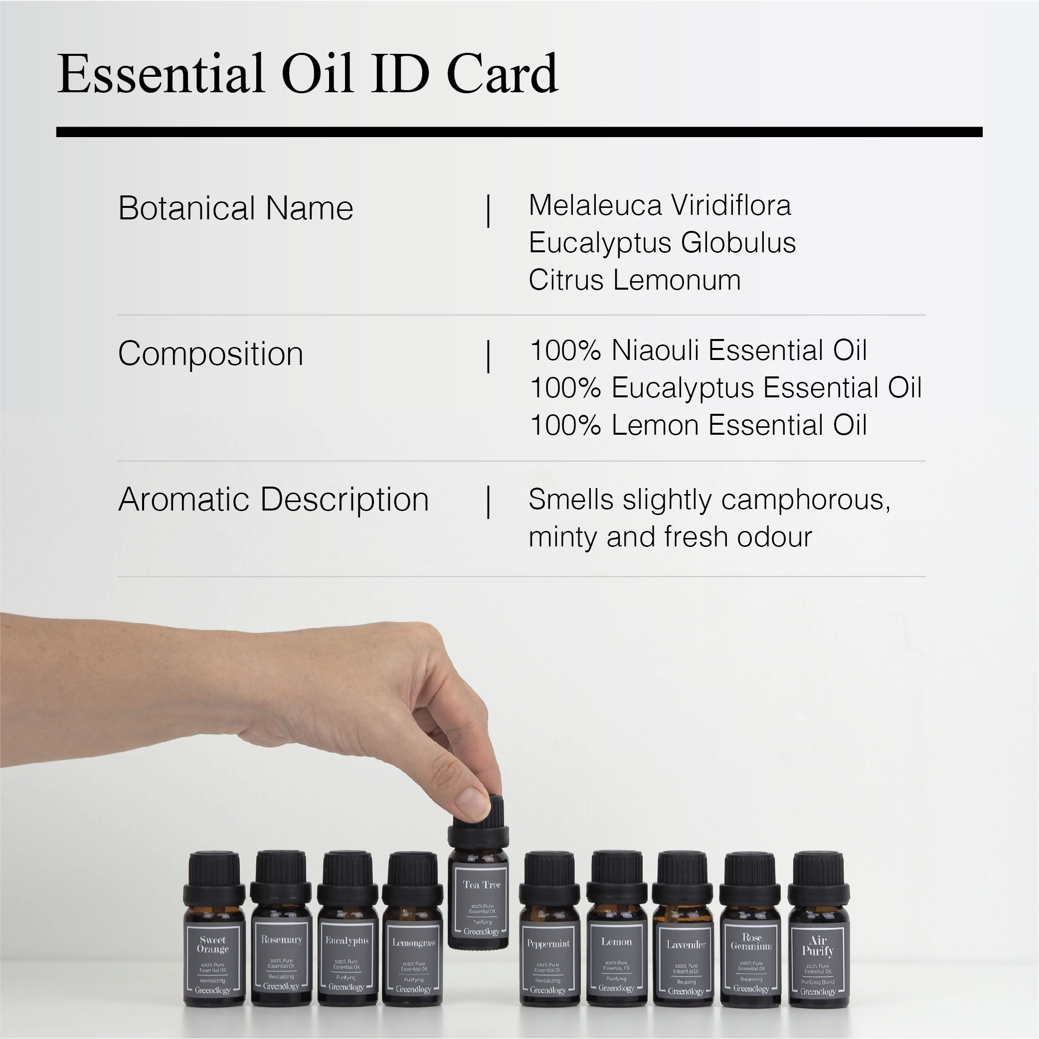 Greenology Aromatherapy Air Purify Blend Essential Oil 