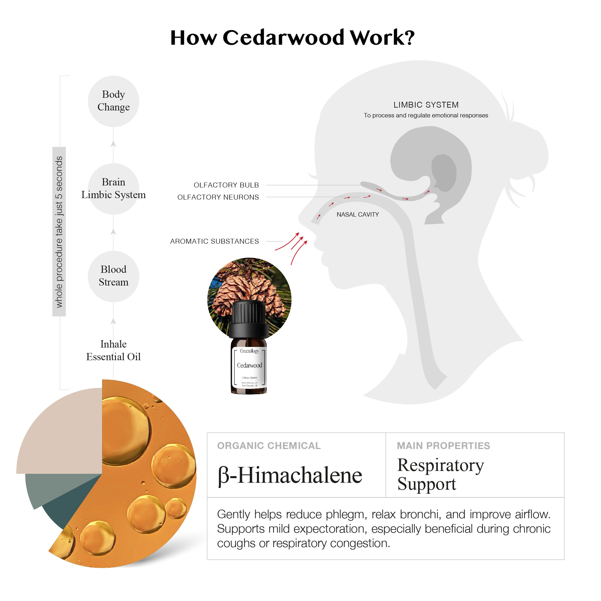 251007 PD - EO Cedrawood_Artboard 4