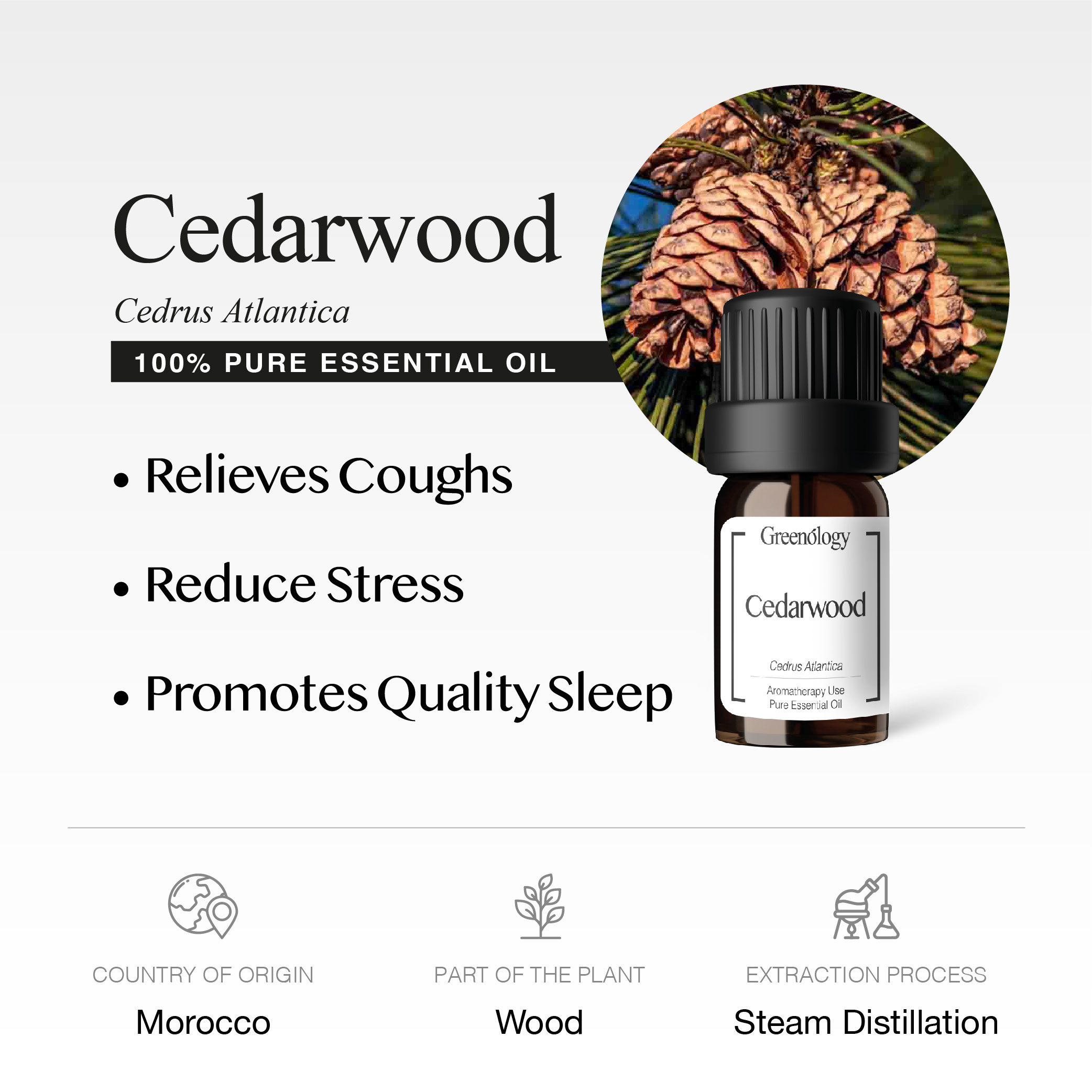 251007 PD - EO Cedrawood_Artboard 2