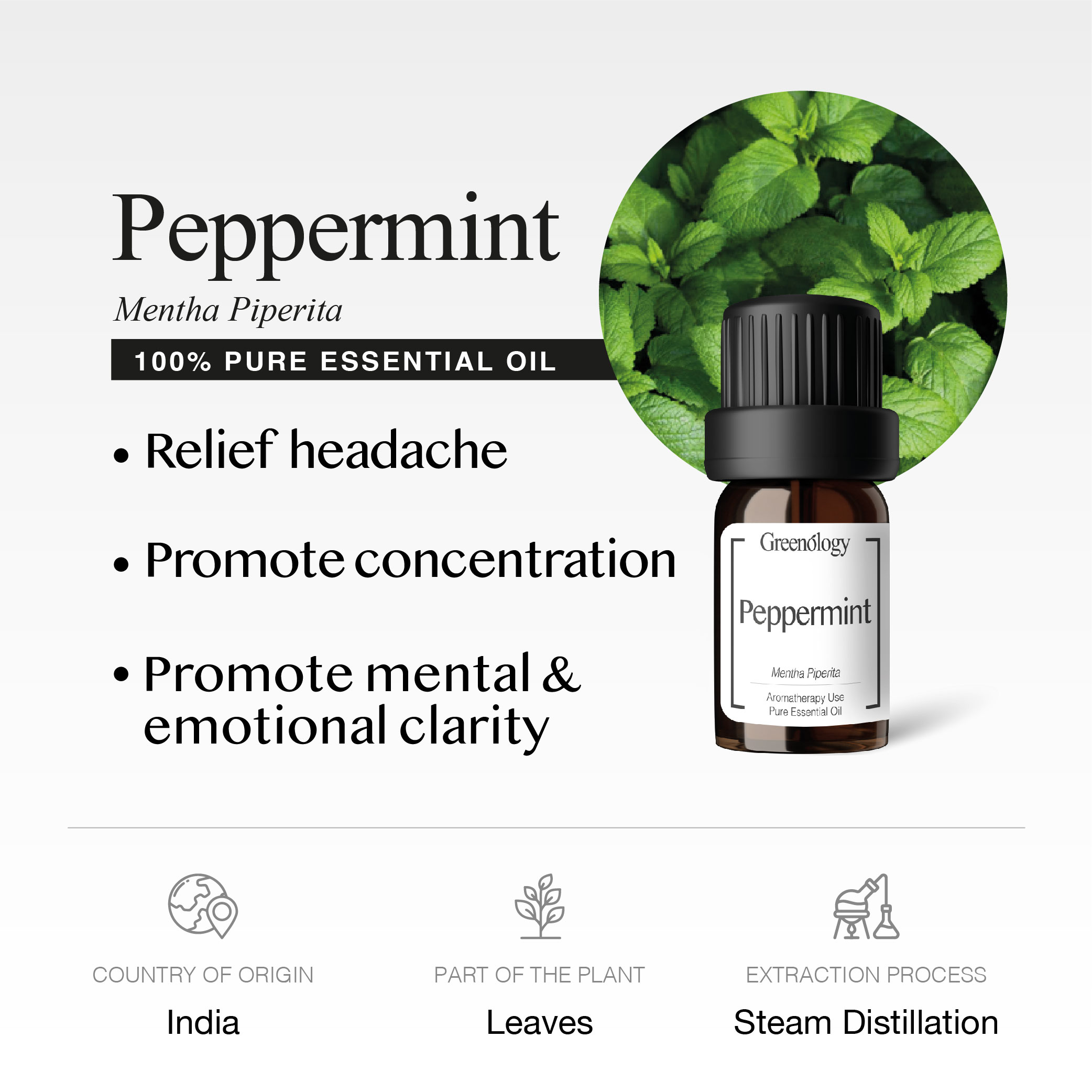 251007 PD - EO Peppermint_Artboard 2