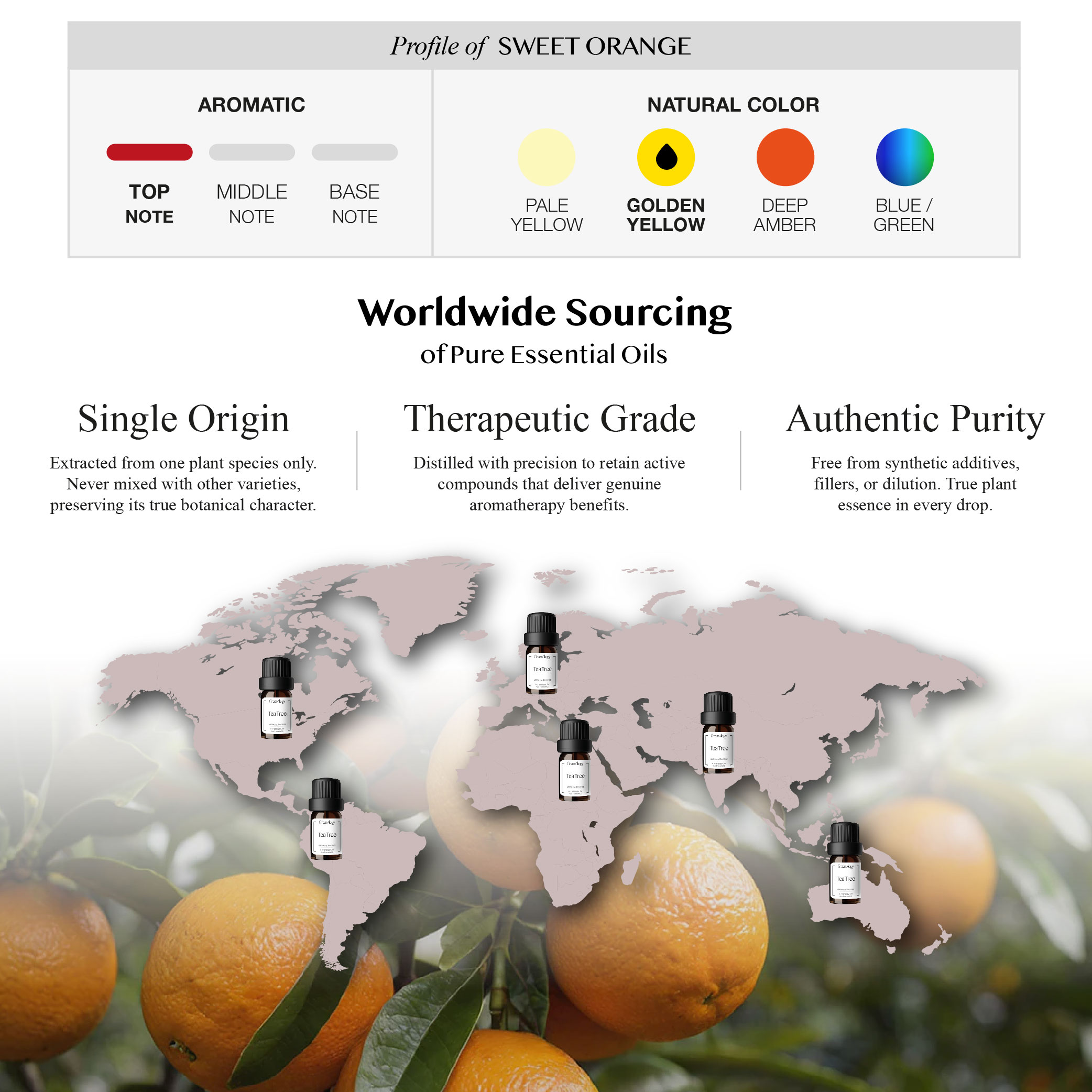 251007 PD - EO Sweet Orange_Artboard 3