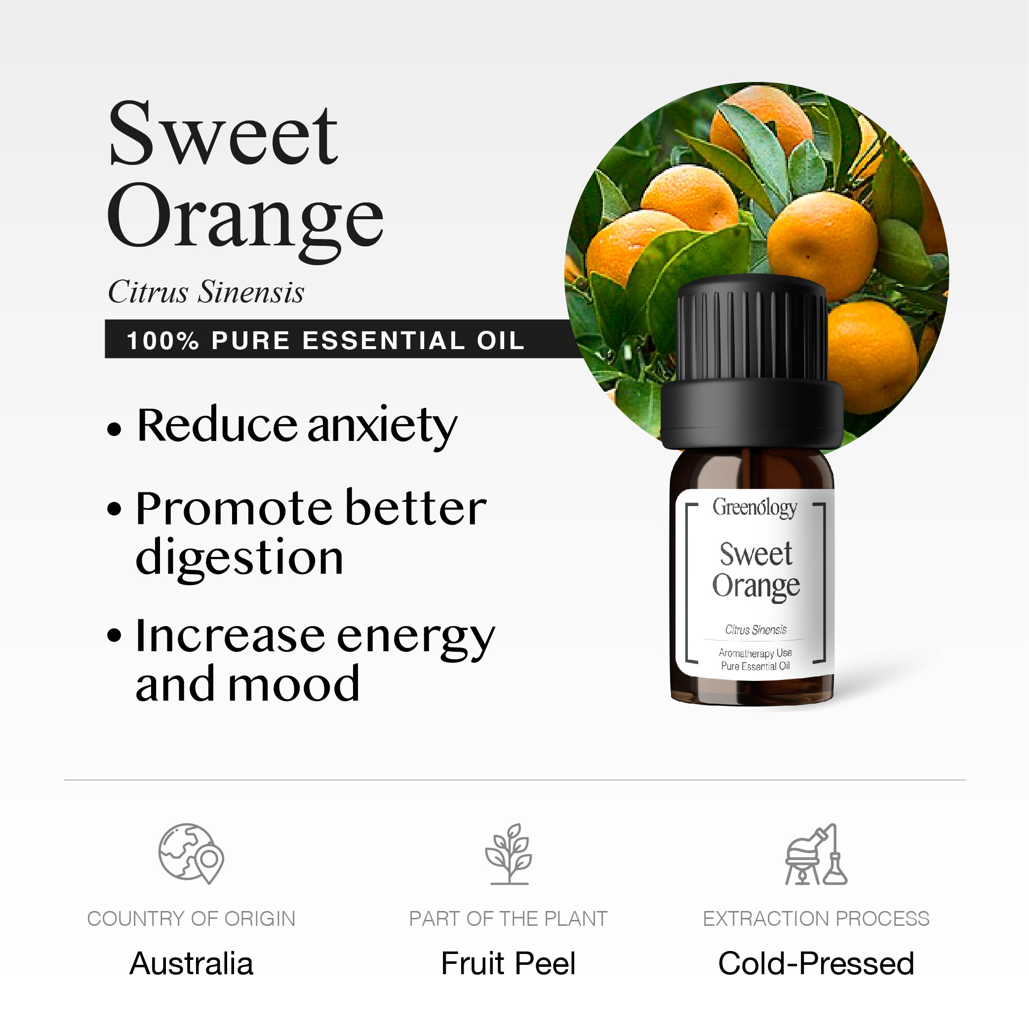 251007 PD - EO Sweet Orange_Artboard 2